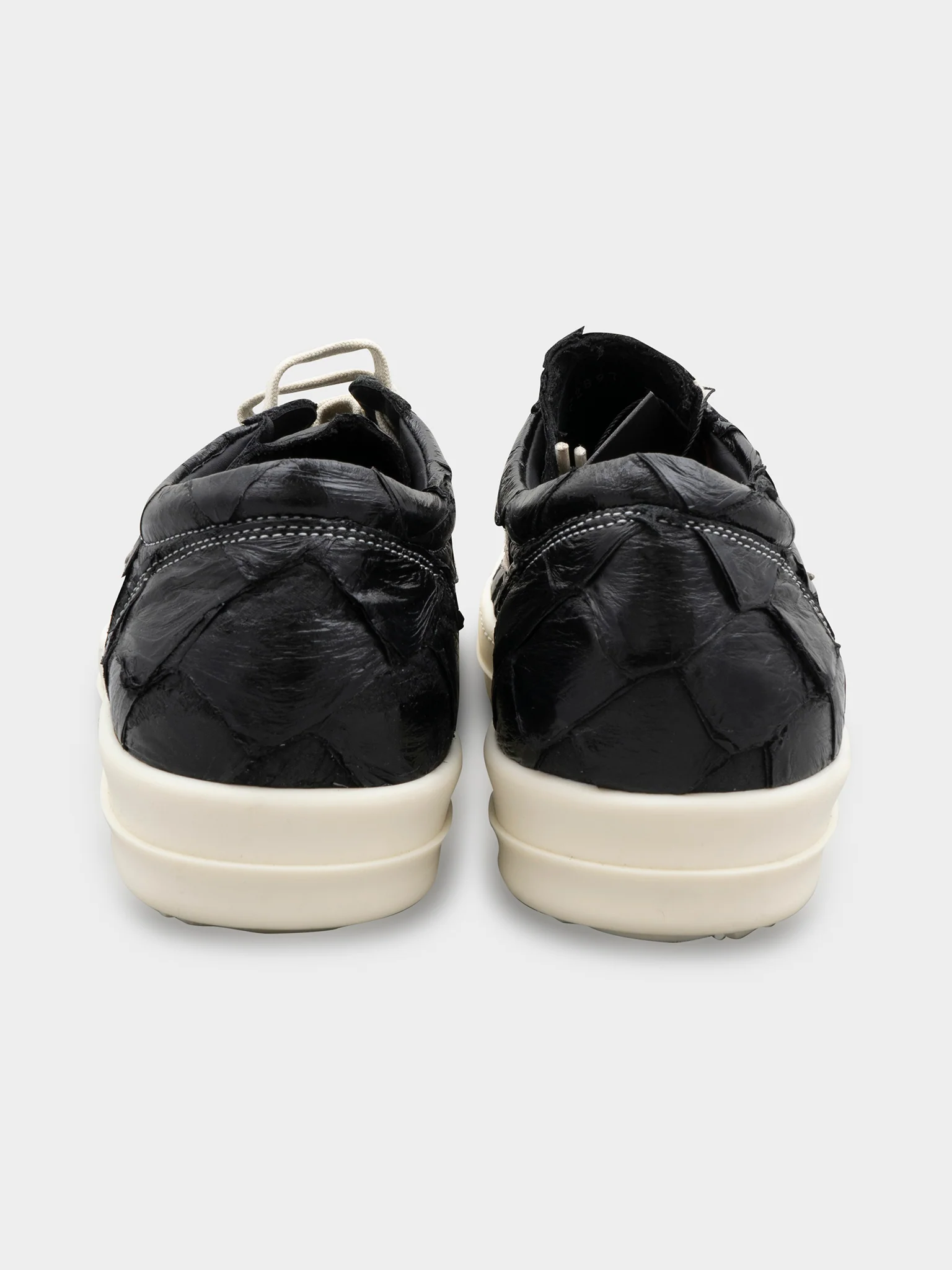 1/24 Pirarucu Fish Vintage Sneakers - Image 4