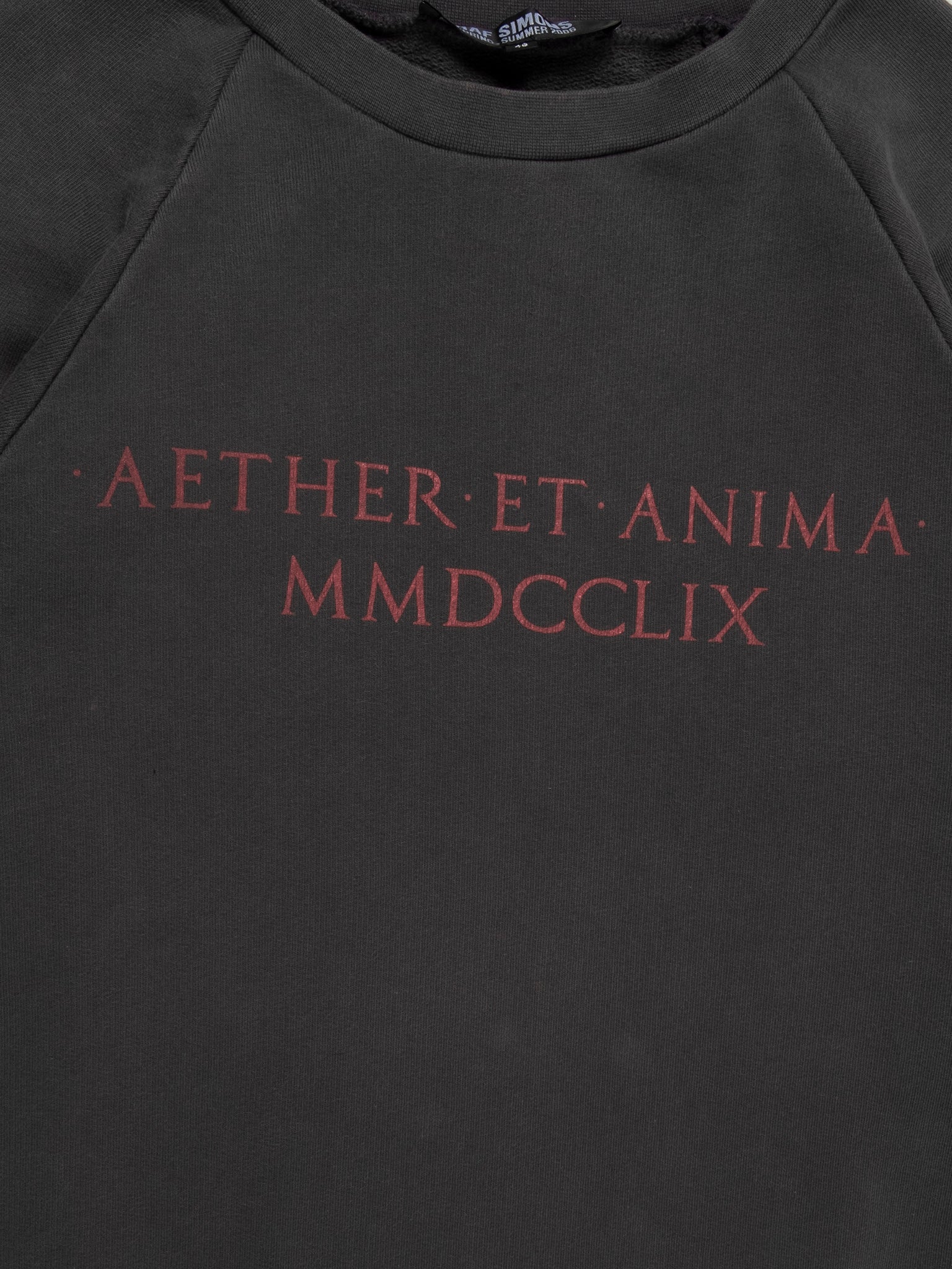 'Icarus' Aether Crewneck - Image 2