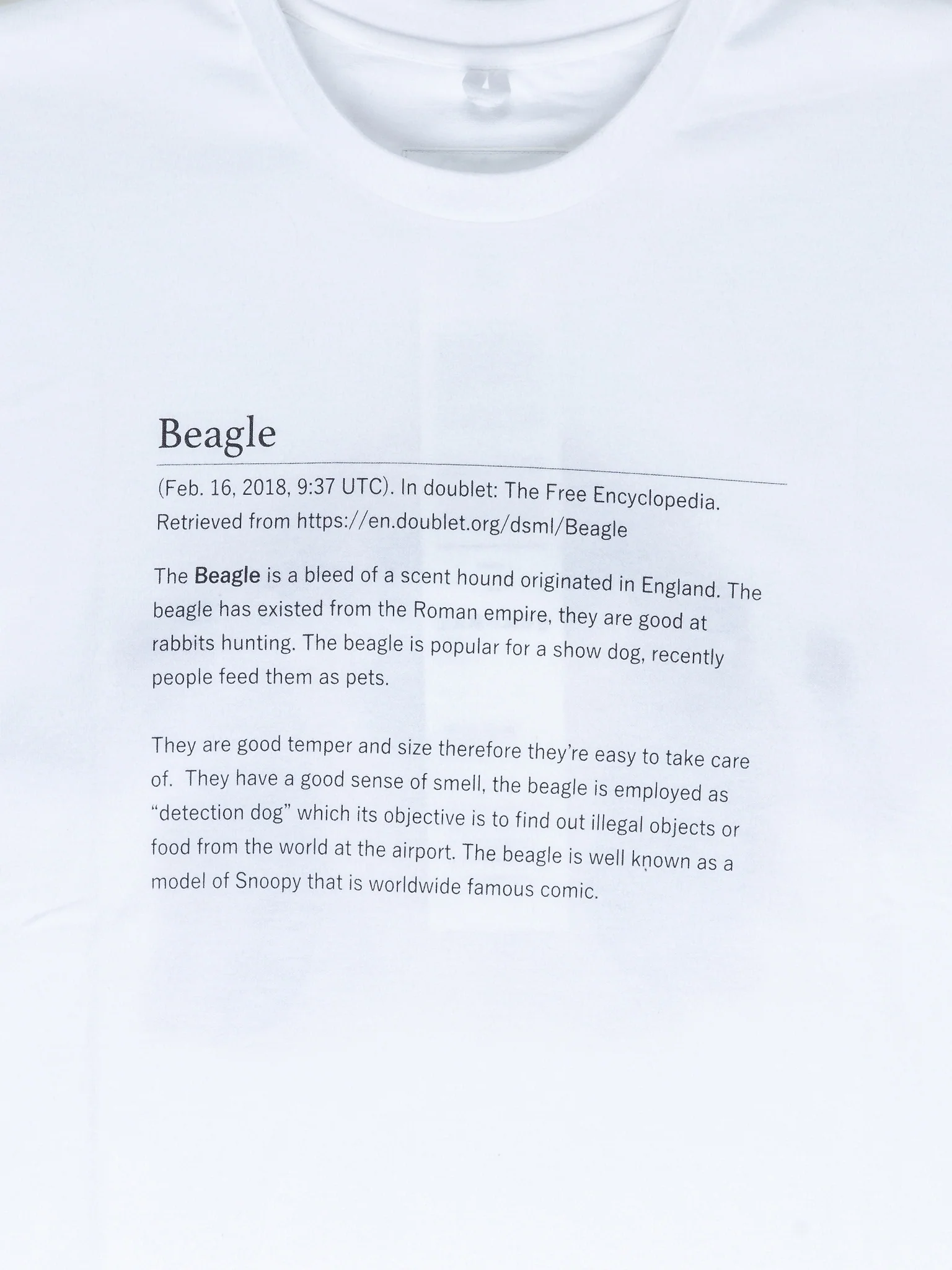Beagle T-Shirt - Image 3
