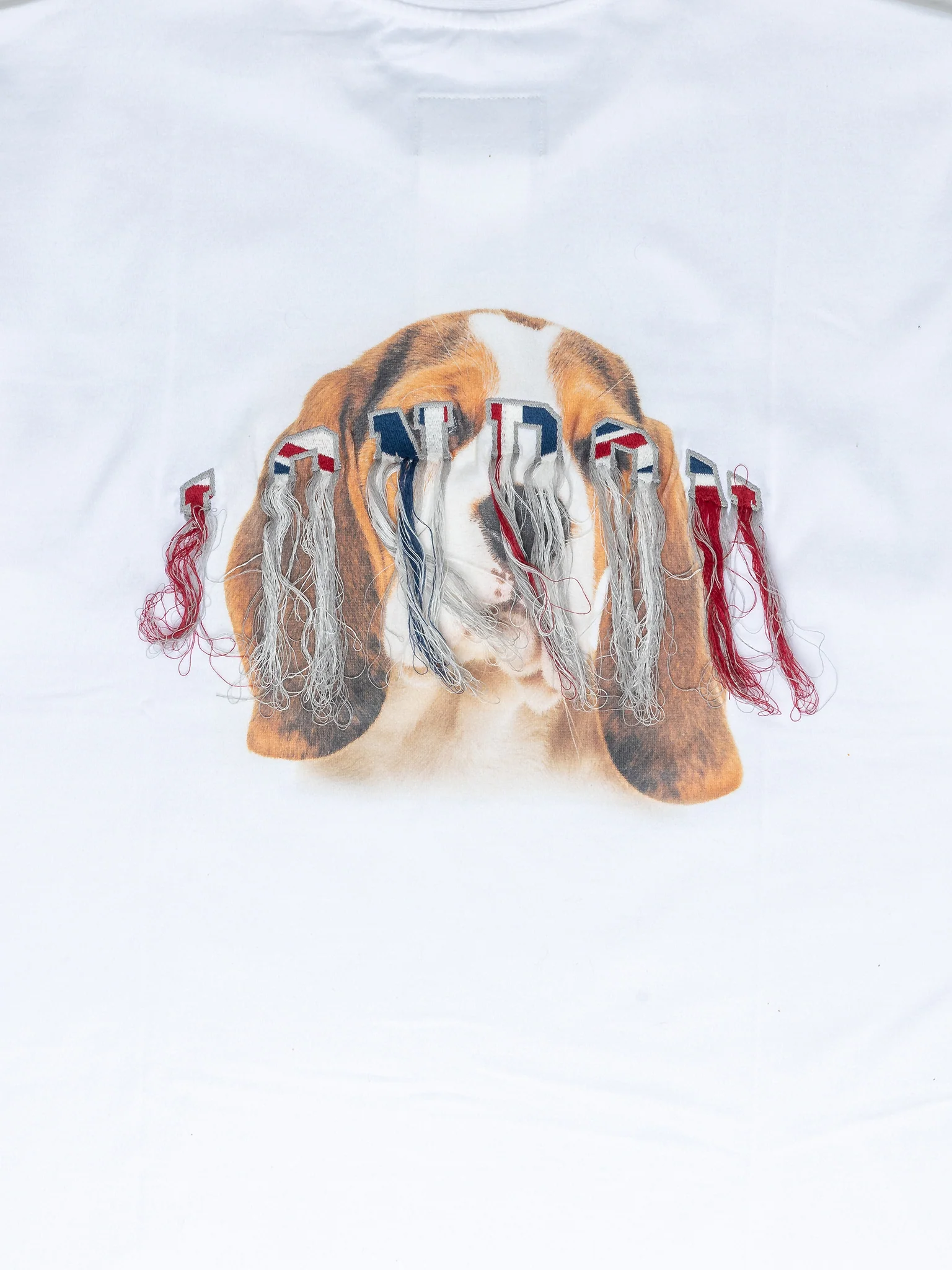 Beagle T-Shirt - Image 4