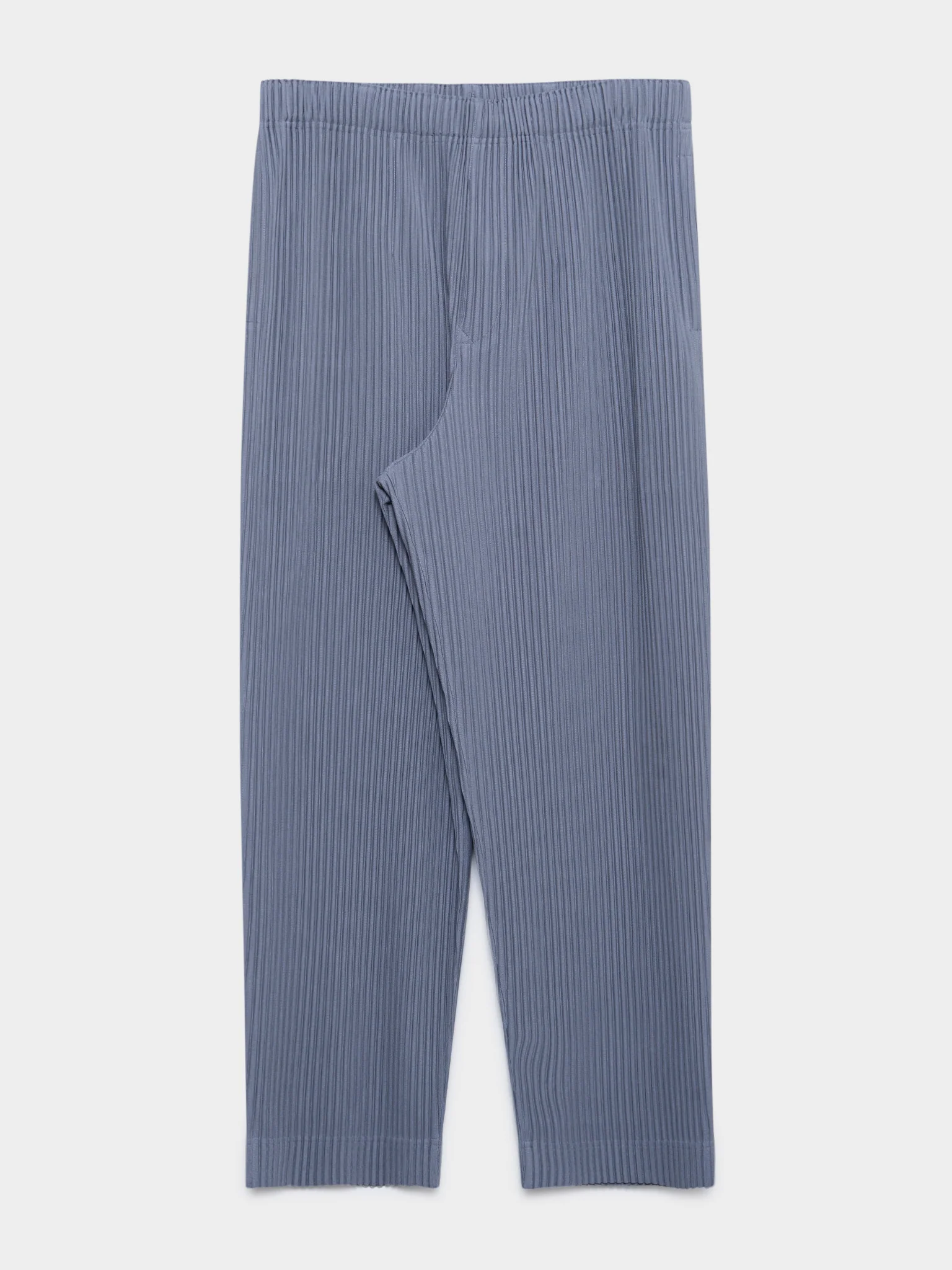 Pleated Pants
