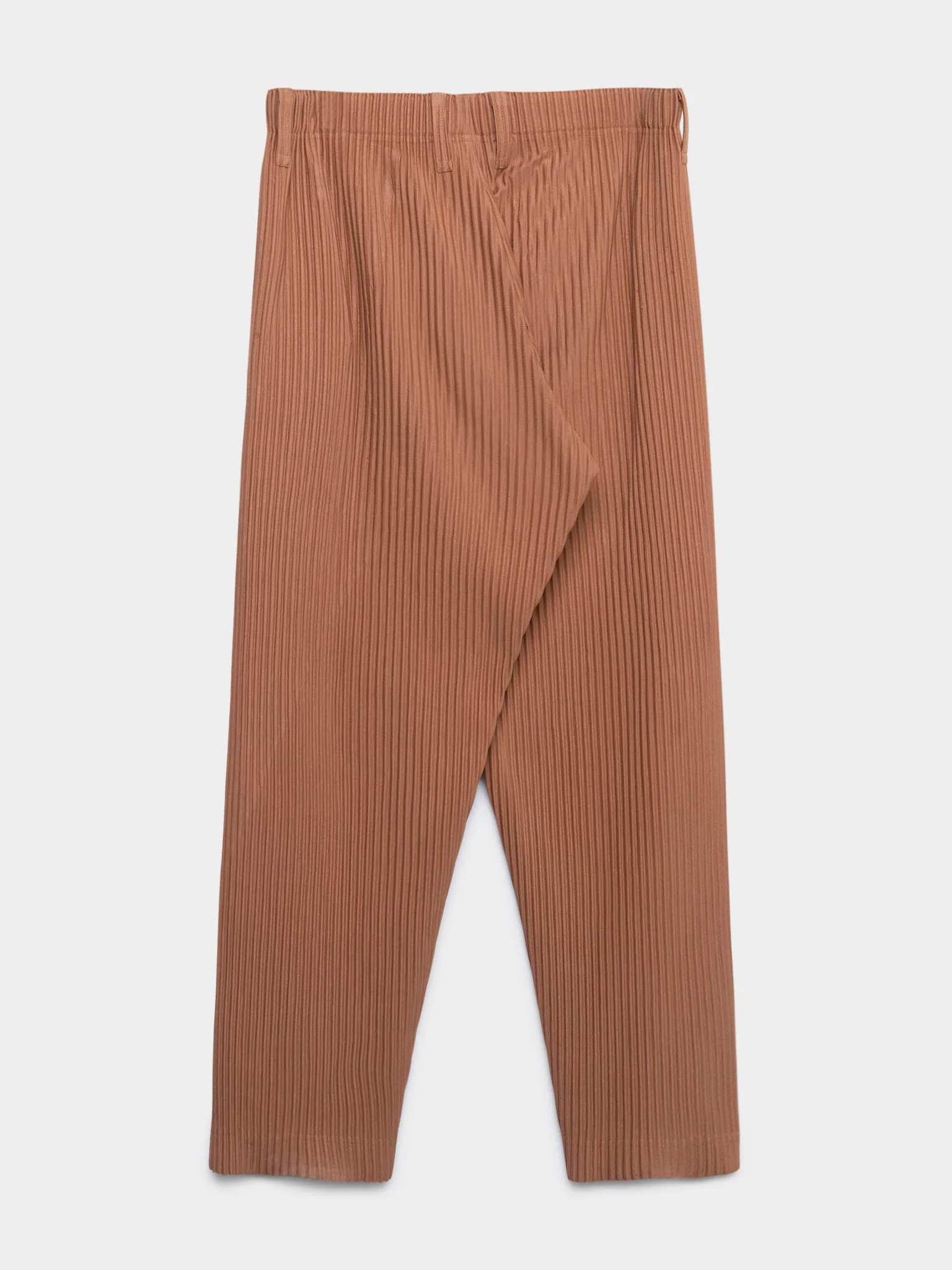 Pleated Pants - Image 3