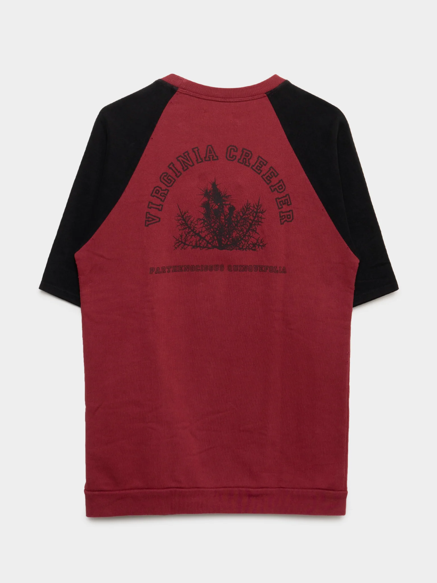 Redux Virginia Creeper SS Sweatshirt