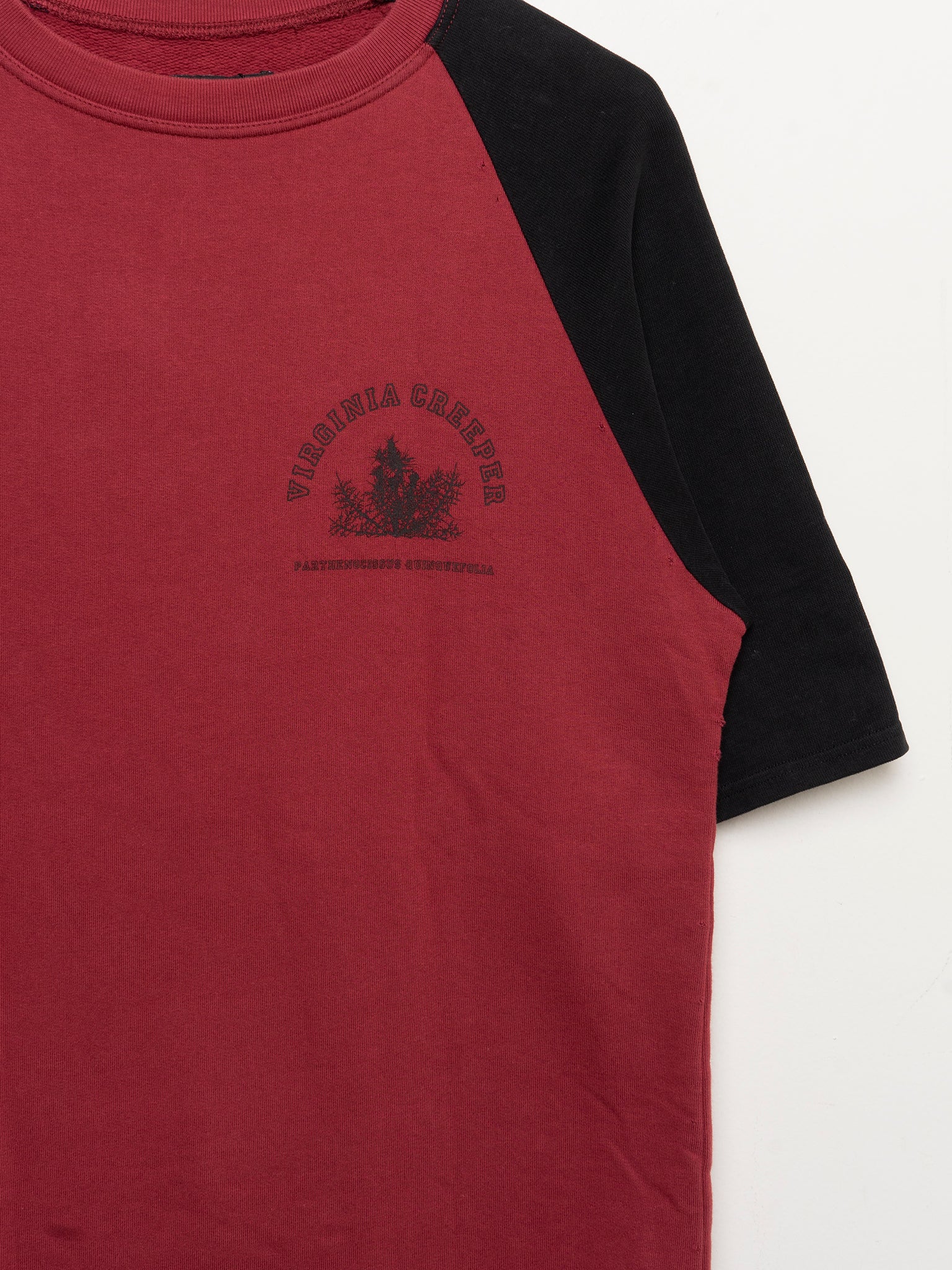 Redux Virginia Creeper SS Sweatshirt - Image 3