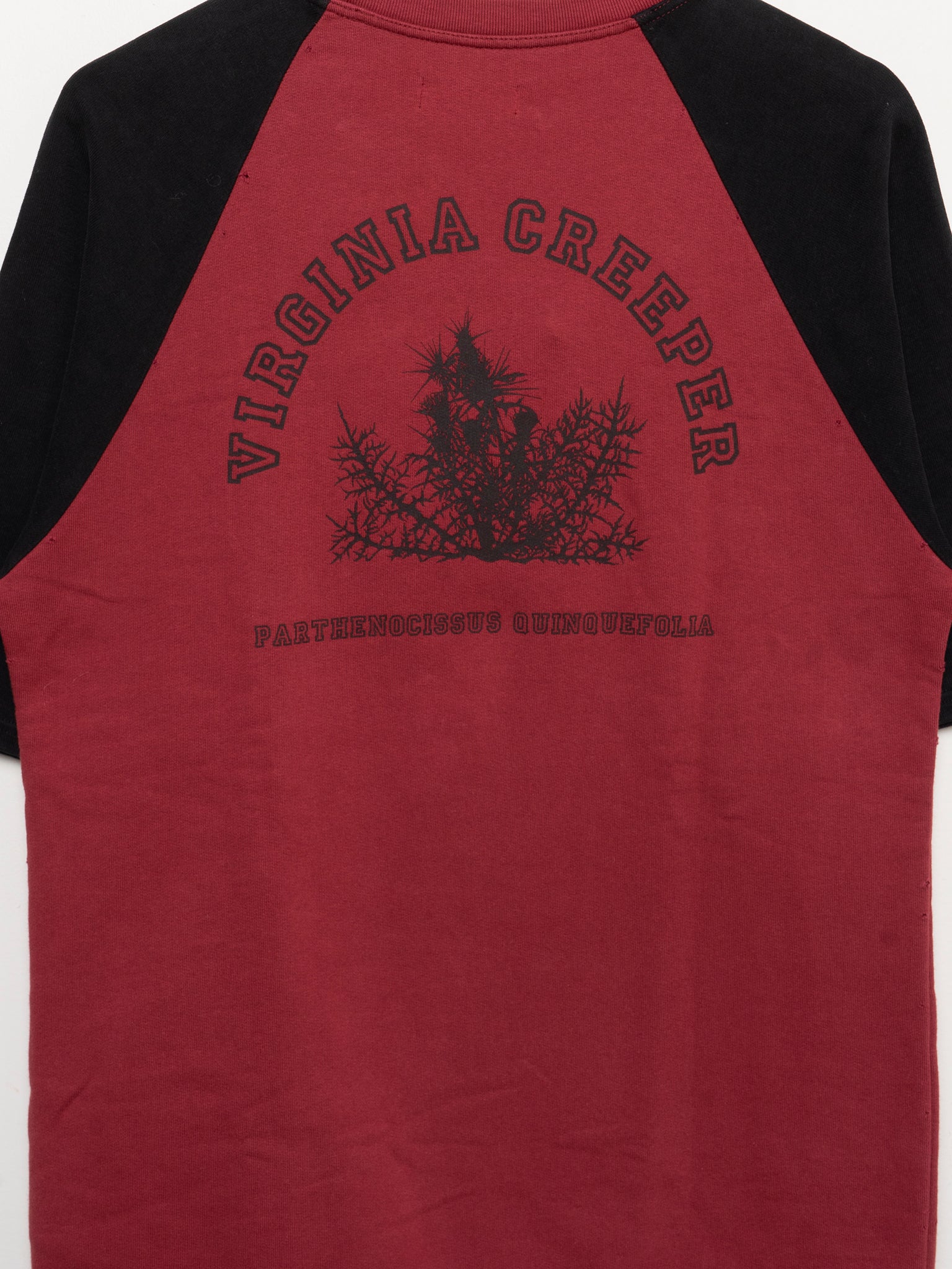Redux Virginia Creeper SS Sweatshirt - Image 4