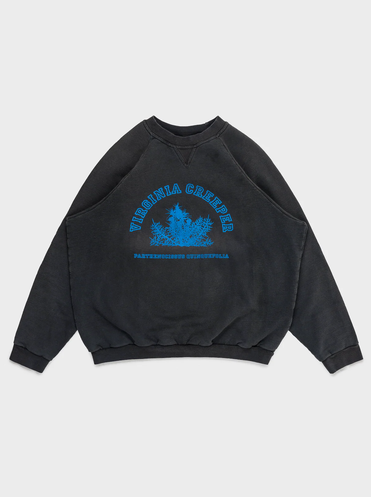 'Virginia Creeper' Crewneck Sweatshirt