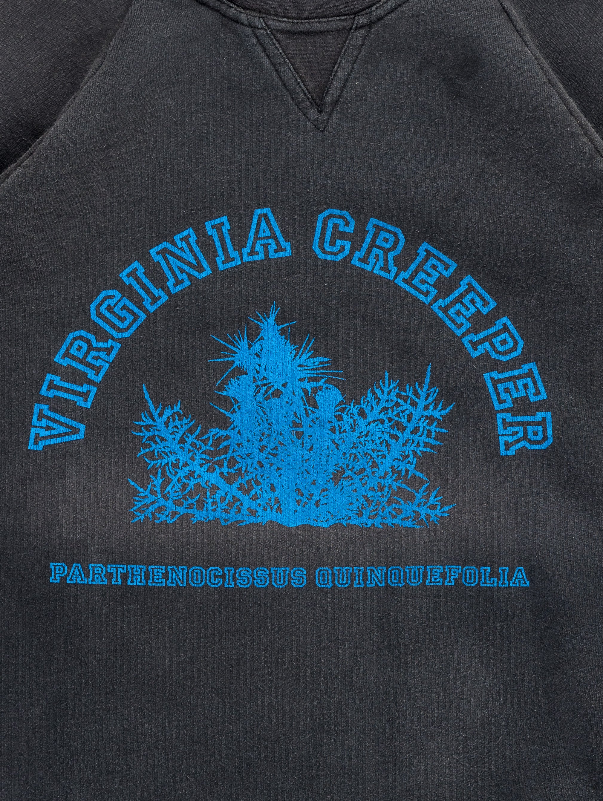 'Virginia Creeper' Crewneck Sweatshirt - Image 2