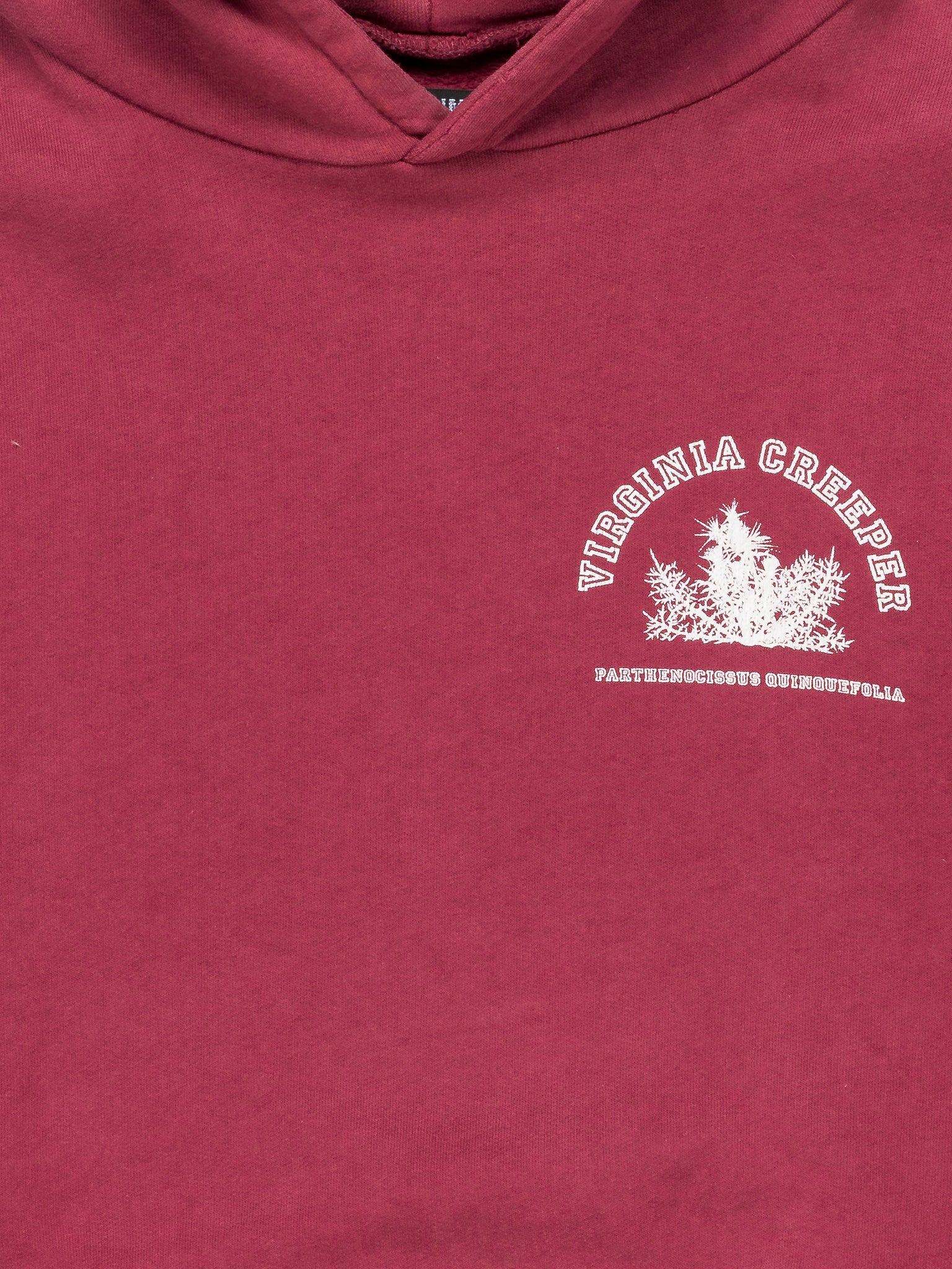 'Virginia Creeper' Hoodie - Image 2