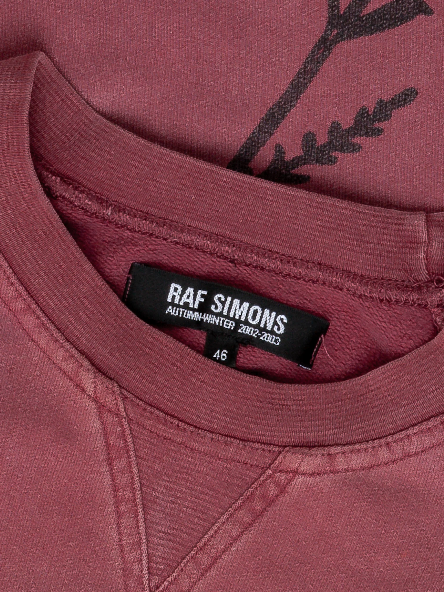 Virginia Creeper Roots Crewneck - Image 3
