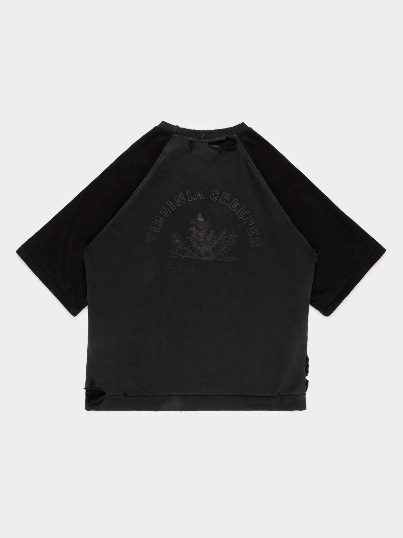 'Virginia Creeper' Short Sleeve Sweatshirt - Image 2